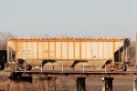 MWCX 462698